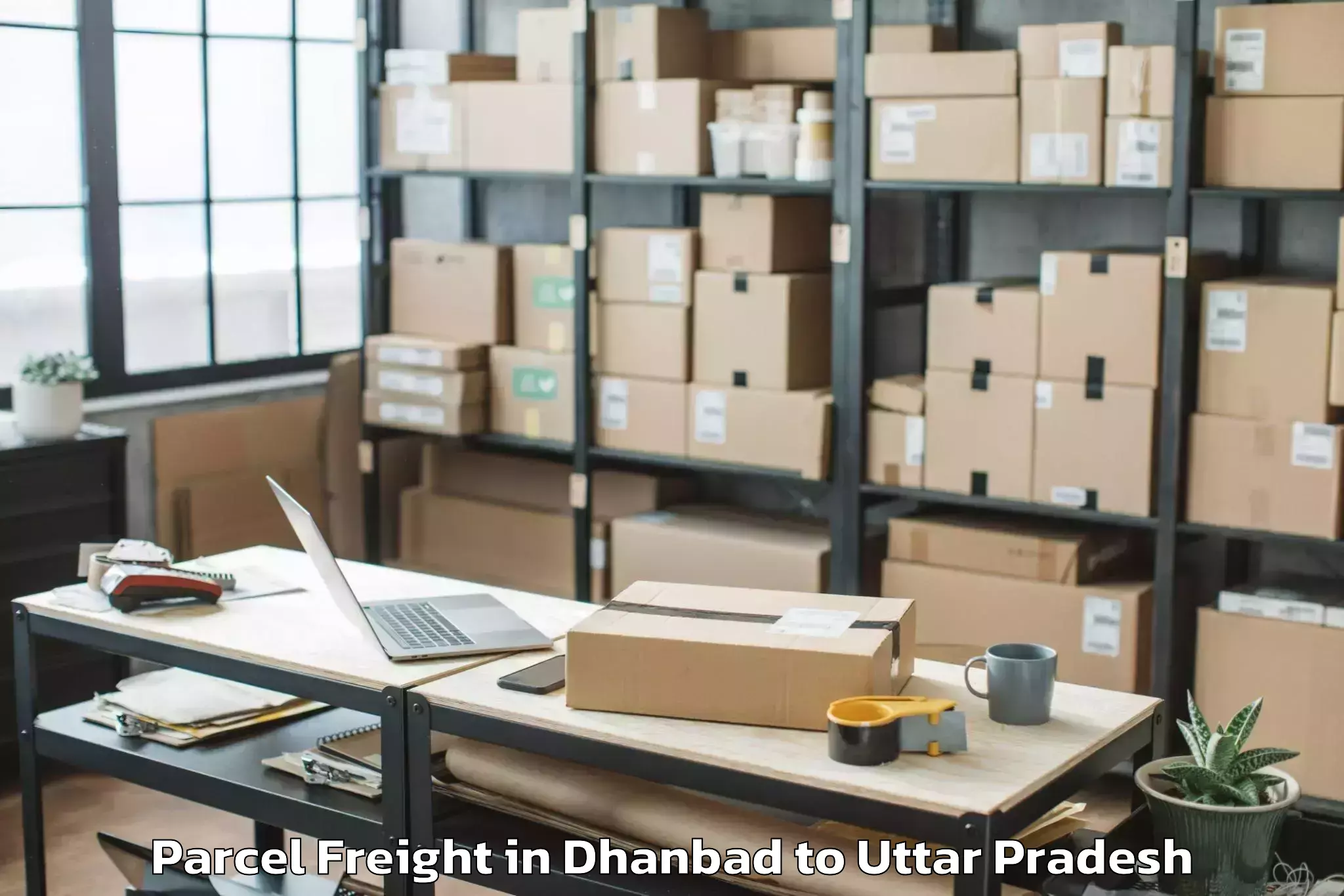 Expert Dhanbad to Mahroni Parcel Freight